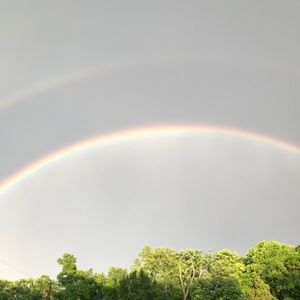 Meet your Posher, Sandy